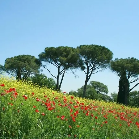 Apartman Caioncola Sleeps 6 Pool Wifi T763558